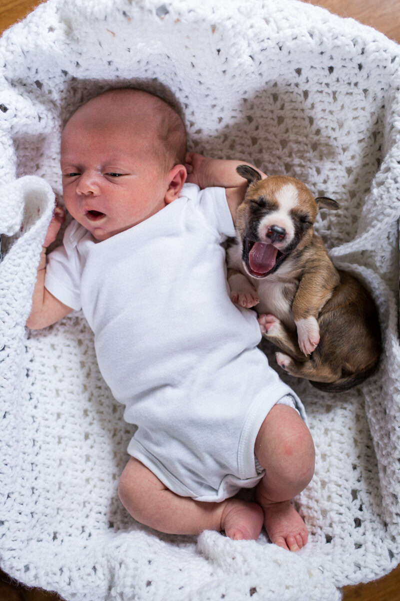 201909_Isaac&Puppies_1.jpg