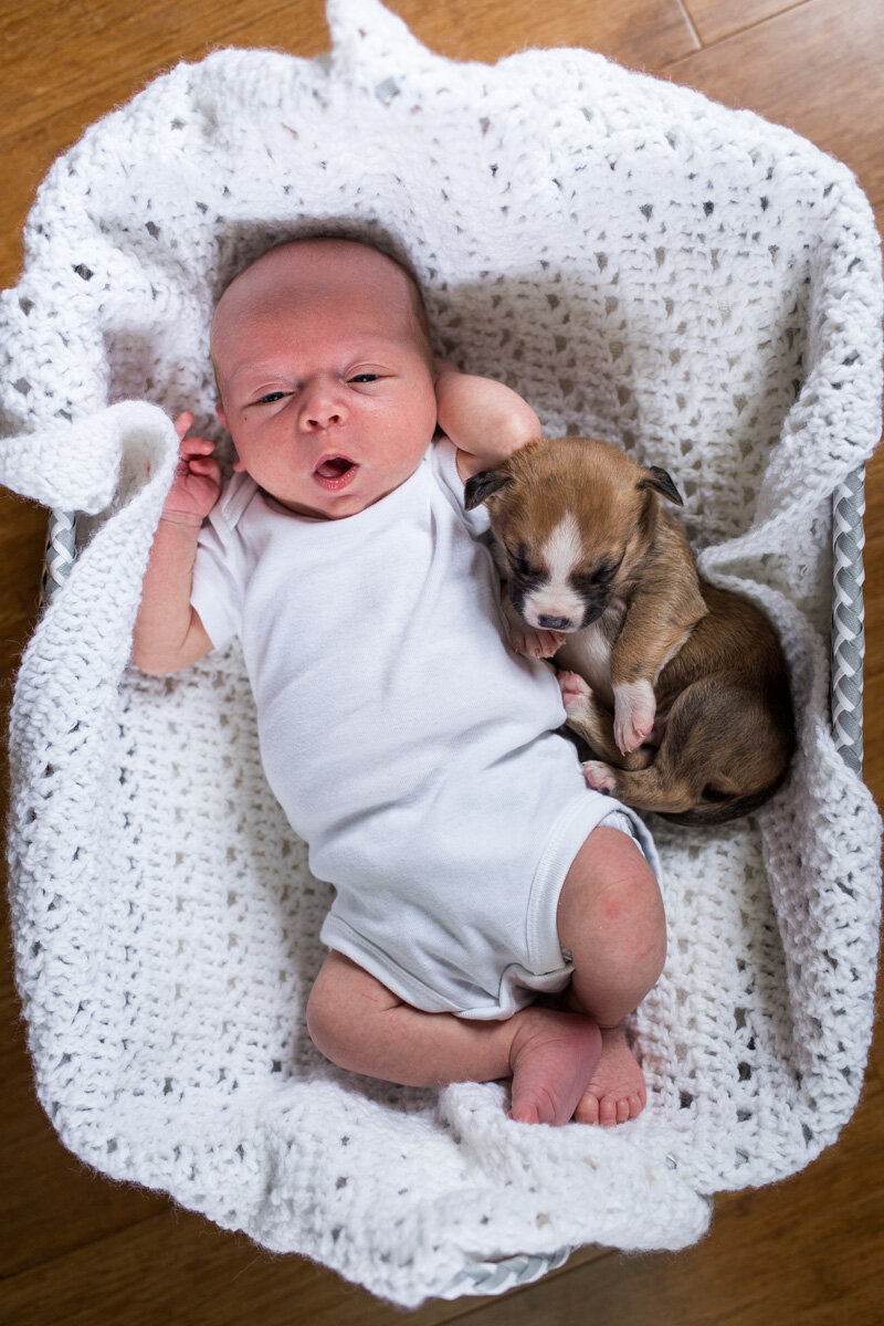 201909_Isaac&Puppies_2.jpg