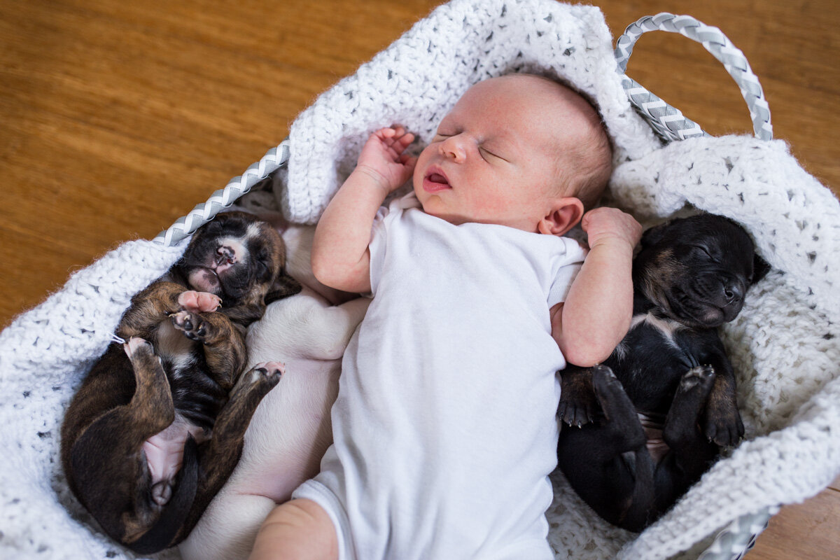 201909_Isaac&Puppies_22.jpg