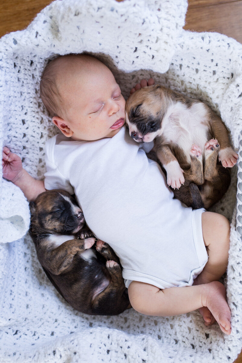201909_Isaac&Puppies_27.jpg