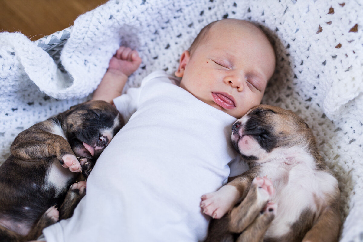 201909_Isaac&Puppies_29.jpg