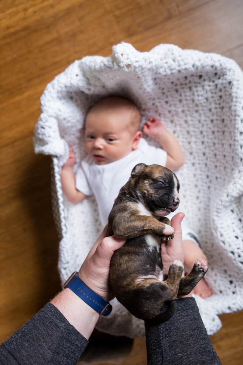 201909_Isaac&Puppies_3.jpg