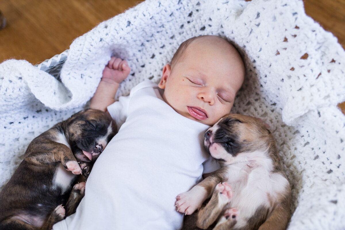 201909_Isaac&Puppies_30.jpg