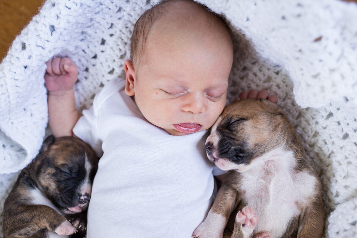 201909_Isaac&Puppies_31.jpg