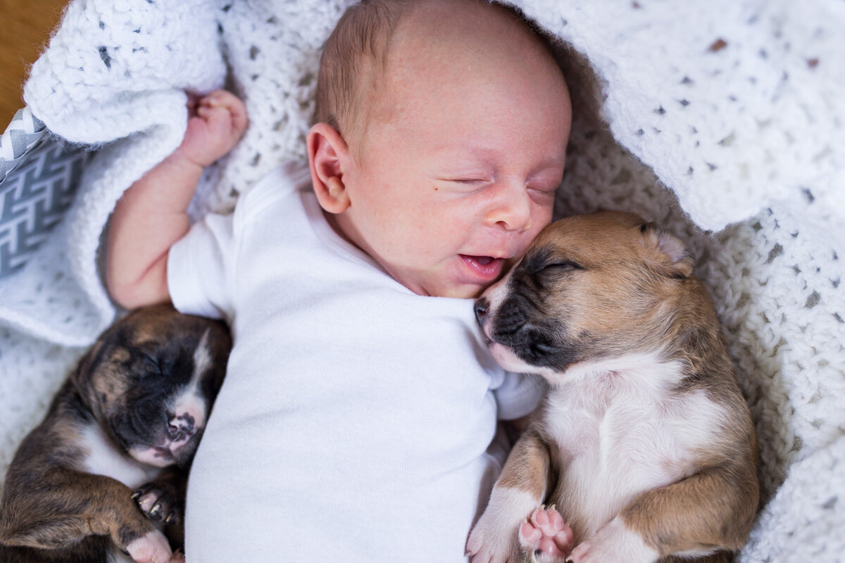 201909_Isaac&Puppies_32.jpg