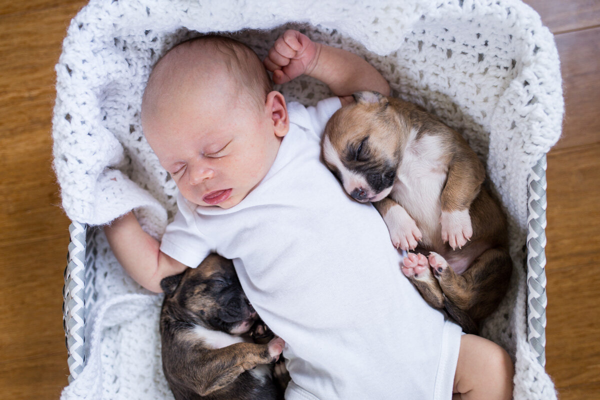 201909_Isaac&Puppies_34.jpg