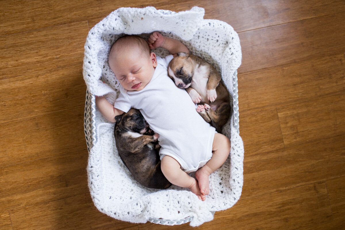 201909_Isaac&Puppies_35.jpg