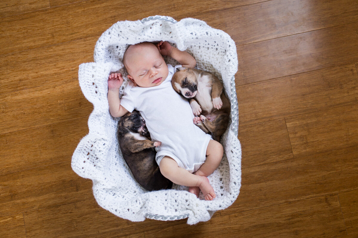 201909_Isaac&Puppies_37.jpg