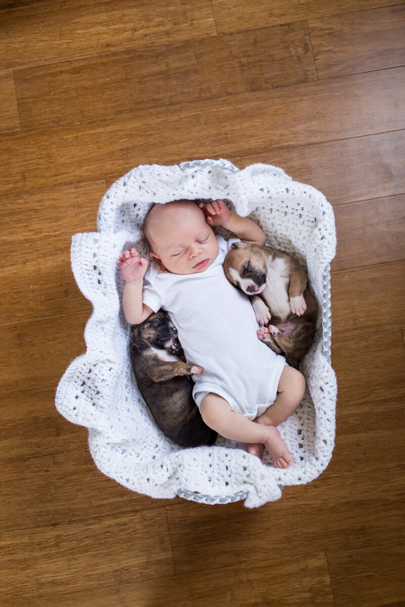 201909_Isaac&Puppies_38.jpg