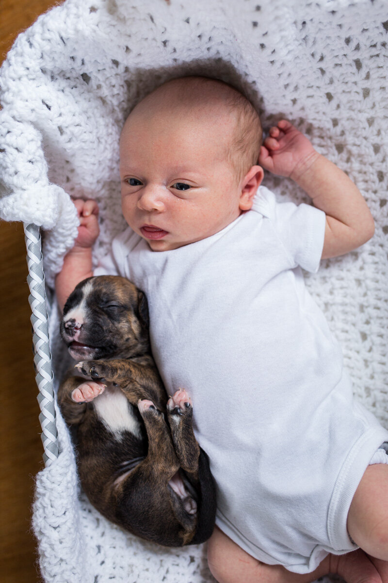201909_Isaac&Puppies_4.jpg