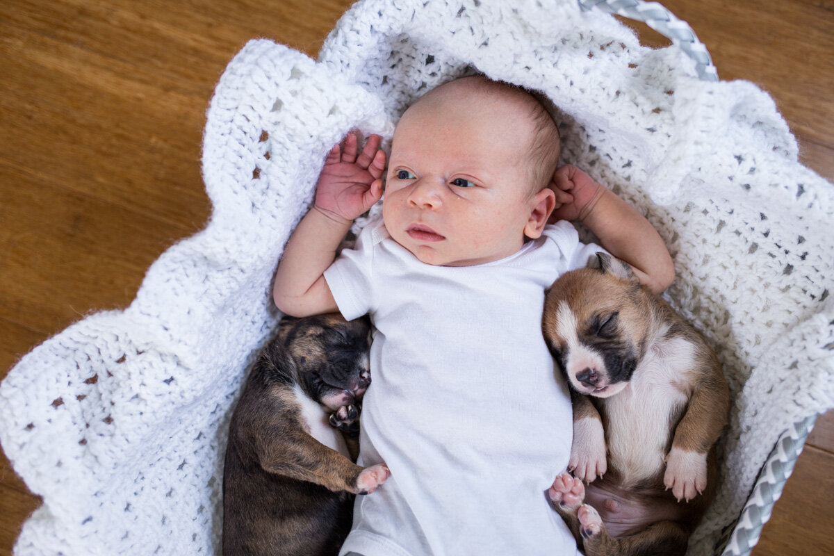 201909_Isaac&Puppies_40.jpg
