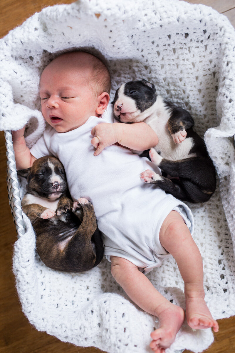 201909_Isaac&Puppies_5.jpg