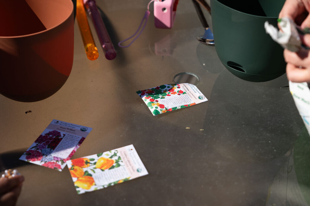 candid environmental editorial family photo showing seeds while a Raleigh family spends a spring afternoon planting them