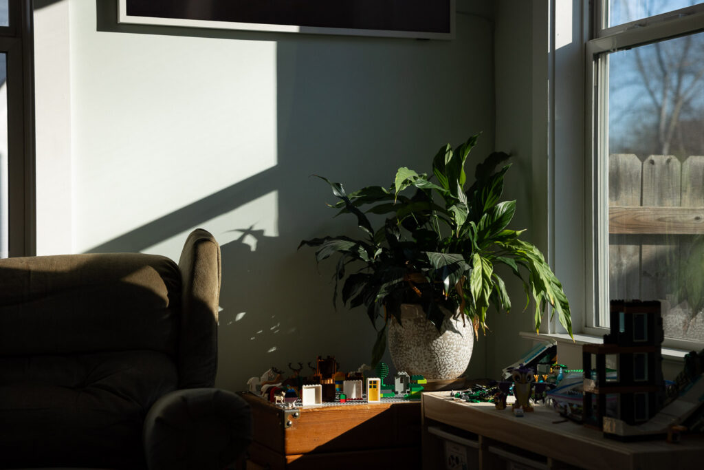 natural direct sunlight on a peace lily plant in a living room with LEGO alongside it