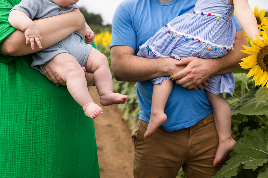 Close-up of baby and child legs during photo session at sunflower field