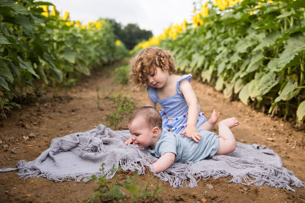 Toddler girl and baby brother sit and lay on a blanket in a row of sunflowers at Dorothea Dix Park in Raleigh