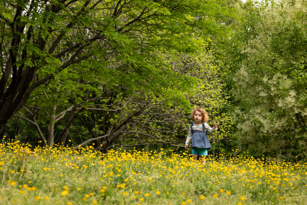 Toddler girl among field of yellow flowers at Fred Fletcher Park in Raleigh, NC