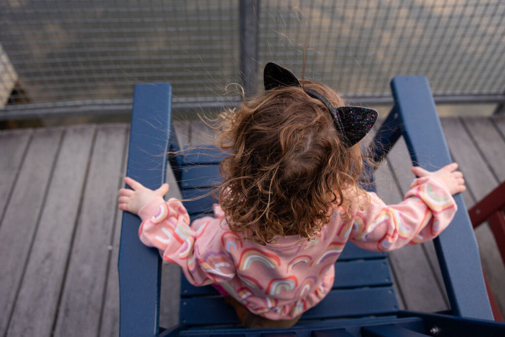 Static electricity hair as toddler girl sits in chair at Lake Johnson Raleigh family photo session