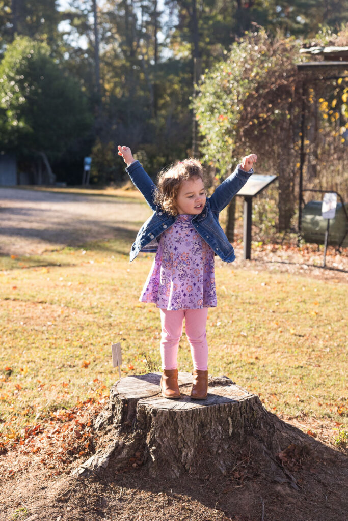 Toddler girl raises her arms in triumph while standing on stump at Prairie Ridge Ecostation family photo session